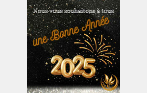 Bonne année 2025 ! 