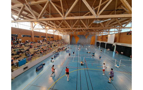 Le Loriot à 3 plumes 2024